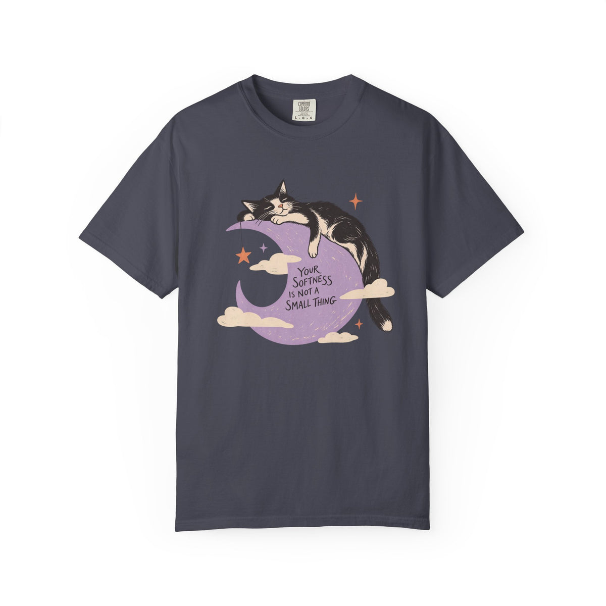 Your Softness Is Not A Small Thing T-Shirt